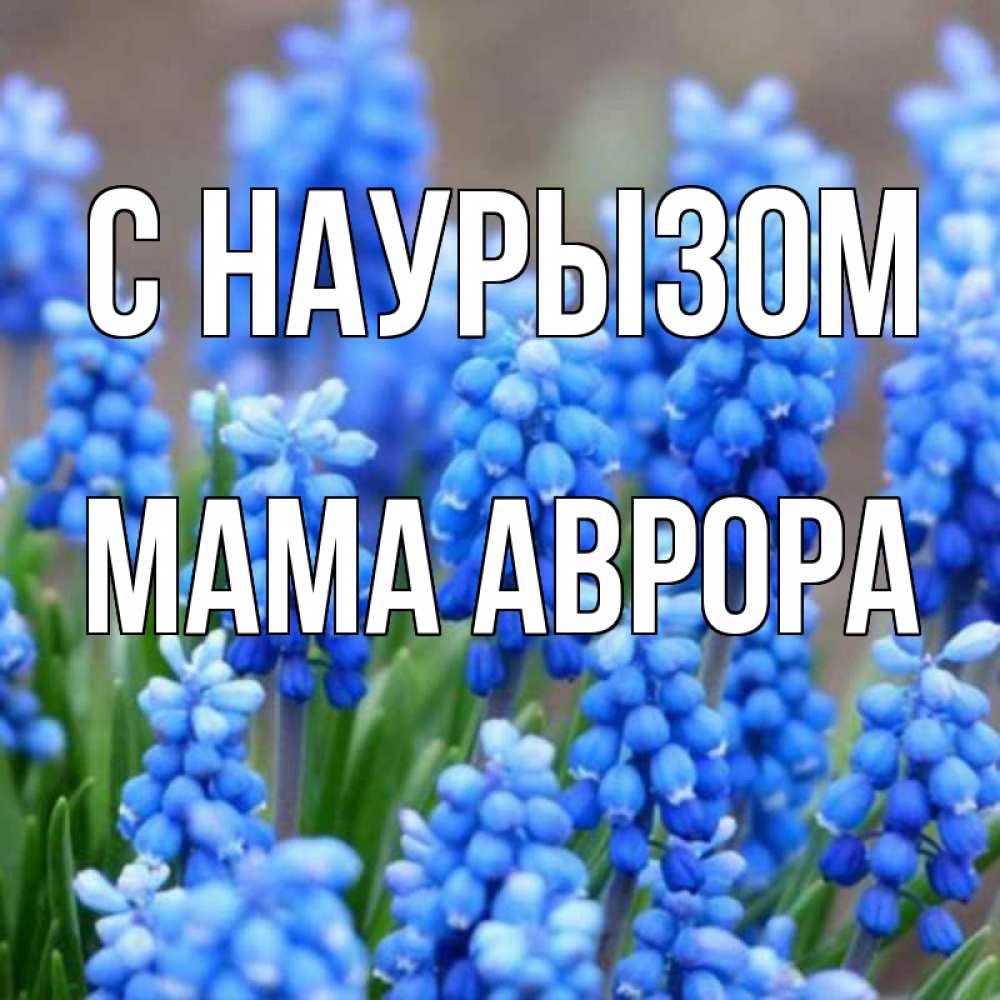 Открытка на каждый день с именем, Мама-Аврора С наурызом Поздравительная открытка для женщин с цветами на праздничную дату Прикольная открытка с пожеланием онлайн скачать бесплатно 