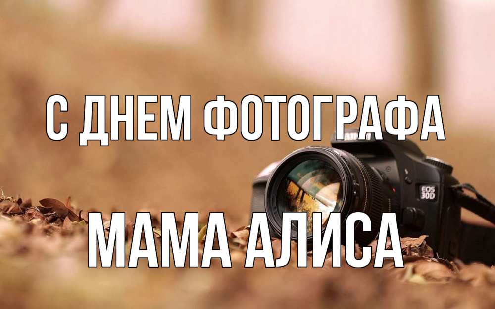 Открытка на каждый день с именем, Мама-Алиса С днем фотографа с днем фотографа Прикольная открытка с пожеланием онлайн скачать бесплатно 