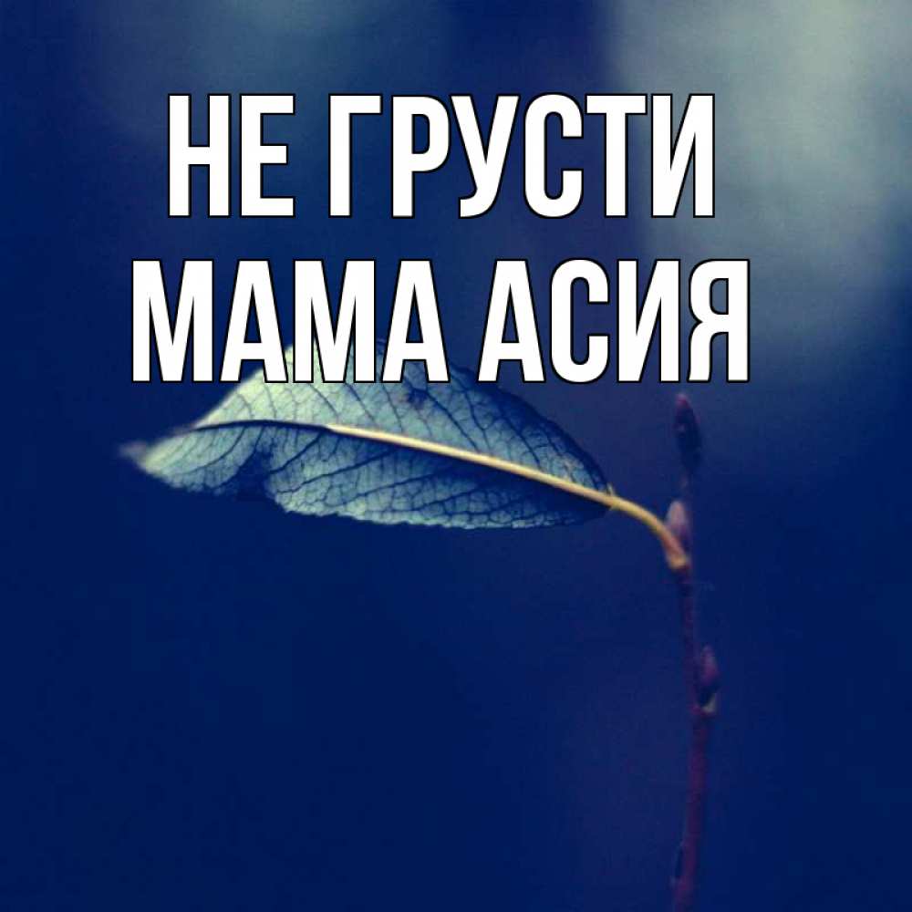 Открытка на каждый день с именем, Мама-Асия Не грусти растение Прикольная открытка с пожеланием онлайн скачать бесплатно 