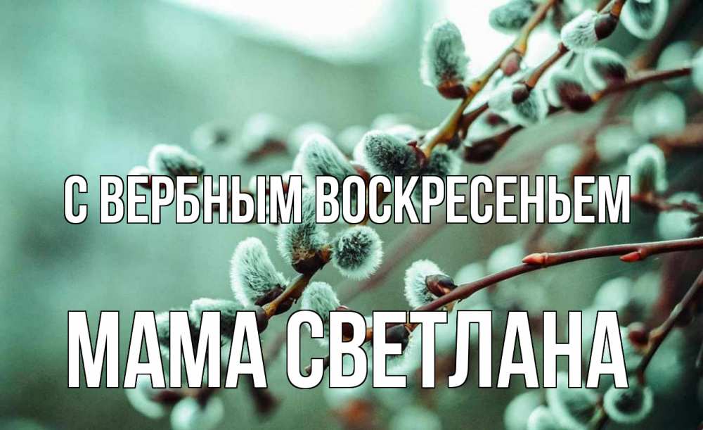 Открытка на каждый день с именем, Мама-Светлана С вербным воскресеньем верба Прикольная открытка с пожеланием онлайн скачать бесплатно 
