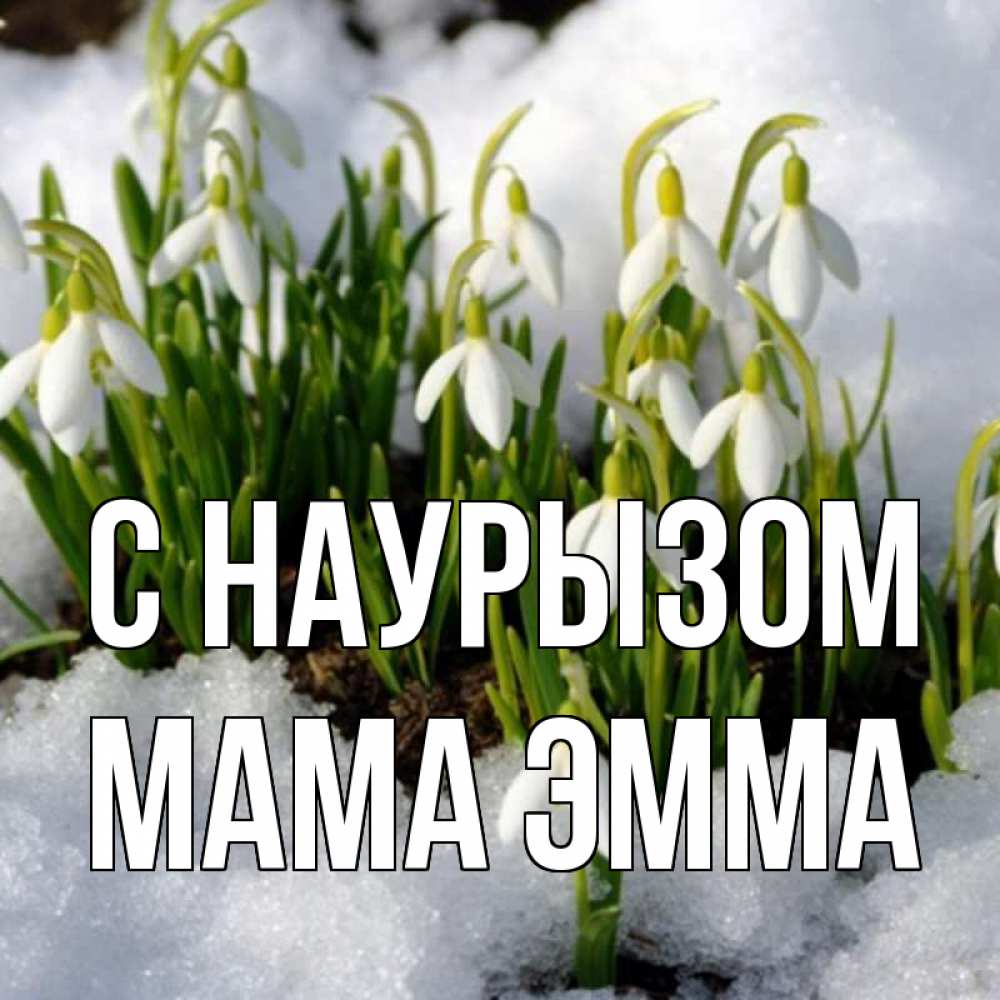 Открытка на каждый день с именем, Мама-Эмма С наурызом цветы весенние Прикольная открытка с пожеланием онлайн скачать бесплатно 