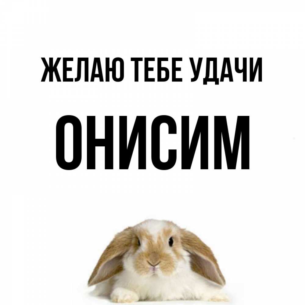 Открытка на каждый день с именем, Онисим Желаю тебе удачи открытки с произвольным текстом который можно вставить в открытку и создать ее самостоятельно бесплатно онлайн Прикольная открытка с пожеланием онлайн скачать бесплатно 