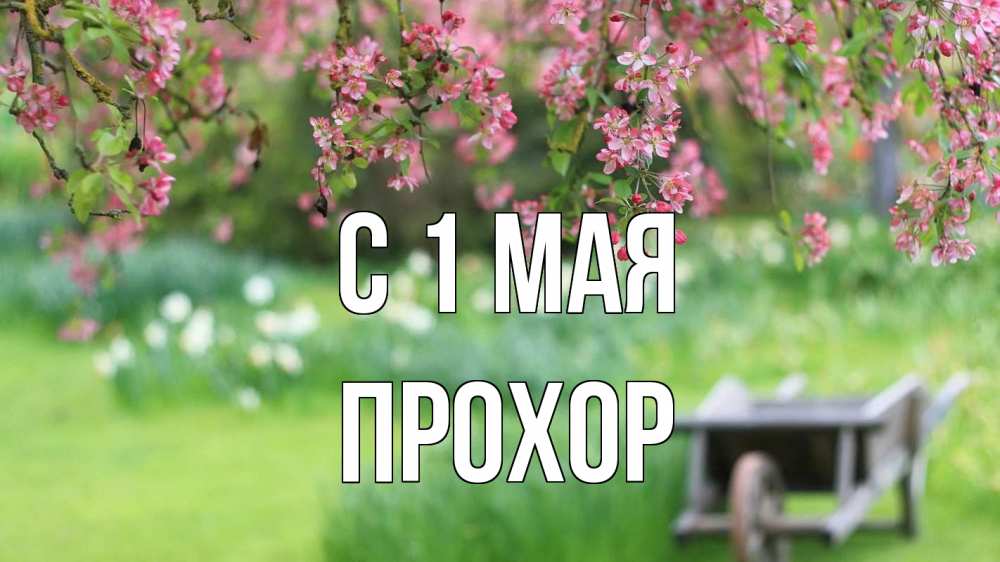 Открытка на каждый день с именем, Прохор С 1 мая С 1 мая Прикольная открытка с пожеланием онлайн скачать бесплатно 