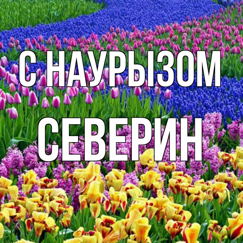 Открытка на каждый день с именем, Северин С наурызом цветы Прикольная открытка с пожеланием онлайн скачать бесплатно 