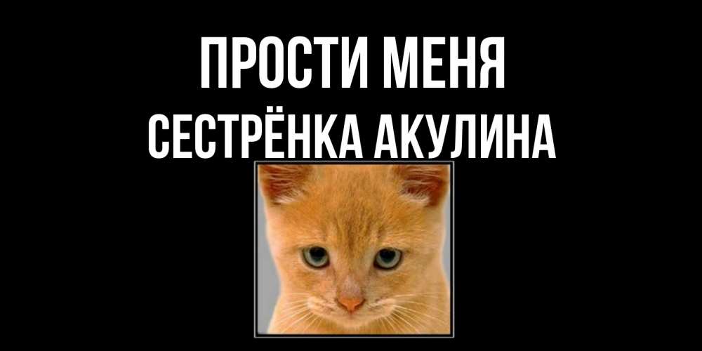 Открытка на каждый день с именем, Сестрёнка-Акулина Прости меня рыжий грустный кот просит прощения Прикольная открытка с пожеланием онлайн скачать бесплатно 