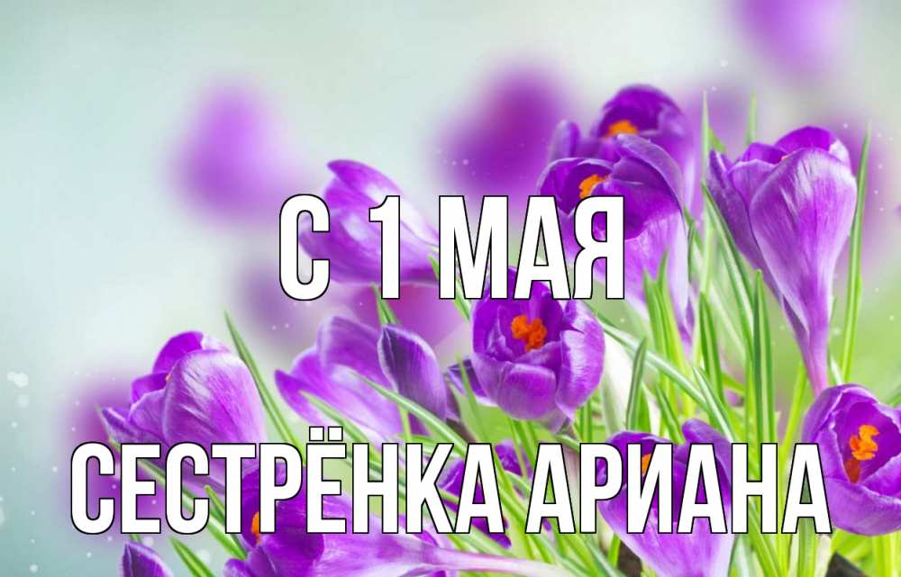 Открытка на каждый день с именем, Сестрёнка-Ариана С 1 мая 1 мая Прикольная открытка с пожеланием онлайн скачать бесплатно 