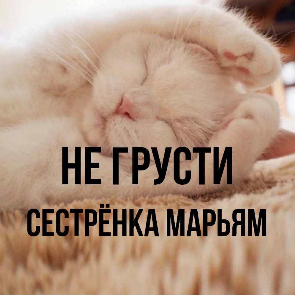 Открытка на каждый день с именем, Сестрёнка-Марьям Не грусти Котенок спит Прикольная открытка с пожеланием онлайн скачать бесплатно 
