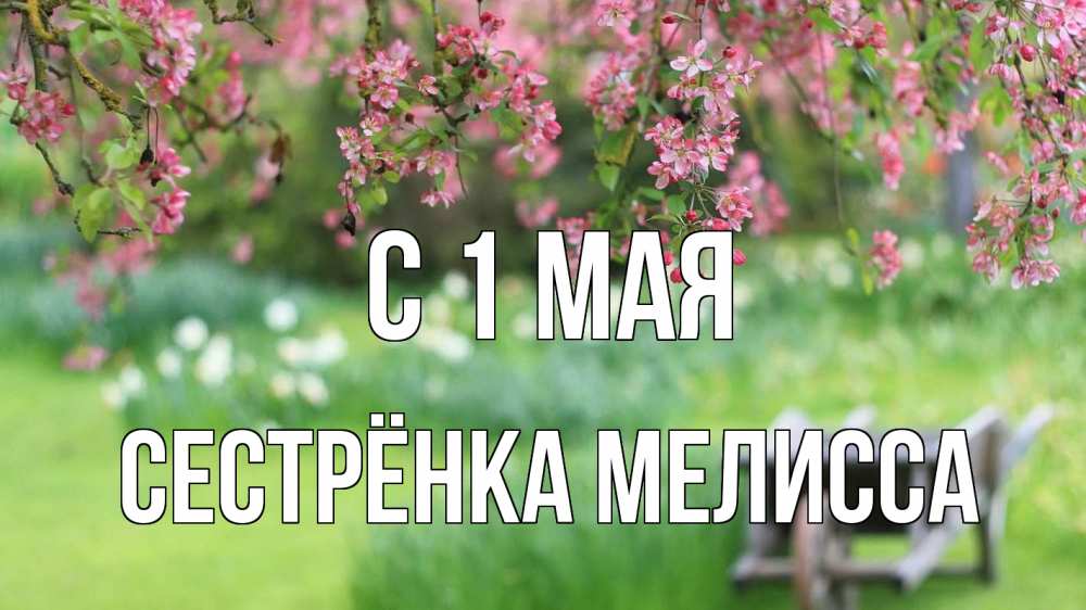 Открытка на каждый день с именем, Сестрёнка-Мелисса С 1 мая С 1 мая Прикольная открытка с пожеланием онлайн скачать бесплатно 