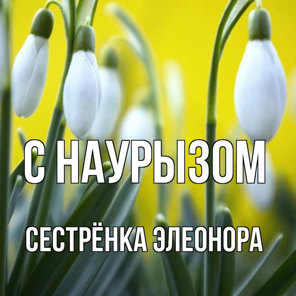 Открытка на каждый день с именем, Сестрёнка-Элеонора С наурызом весенние цветы Прикольная открытка с пожеланием онлайн скачать бесплатно 