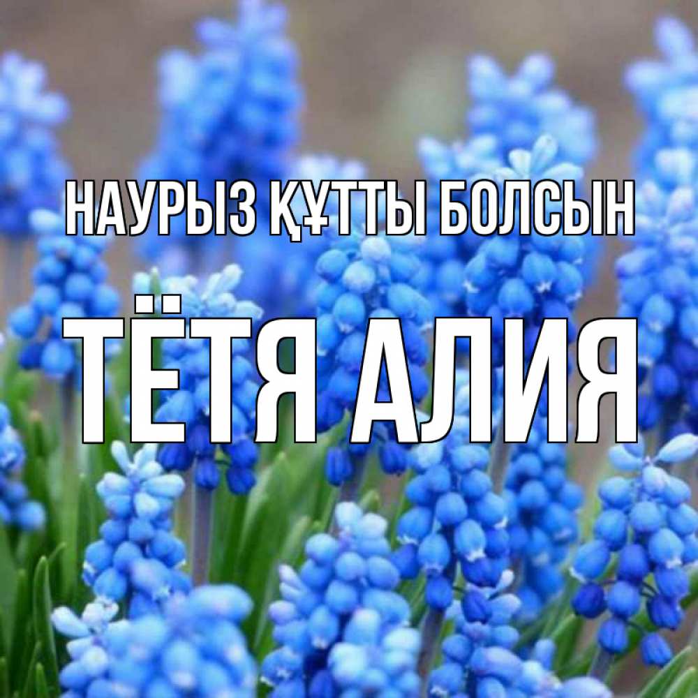 Открытка на каждый день с именем, Тётя-Алия Наурыз құтты болсын Поздравительная открытка для женщин с цветами на праздничную дату Прикольная открытка с пожеланием онлайн скачать бесплатно 