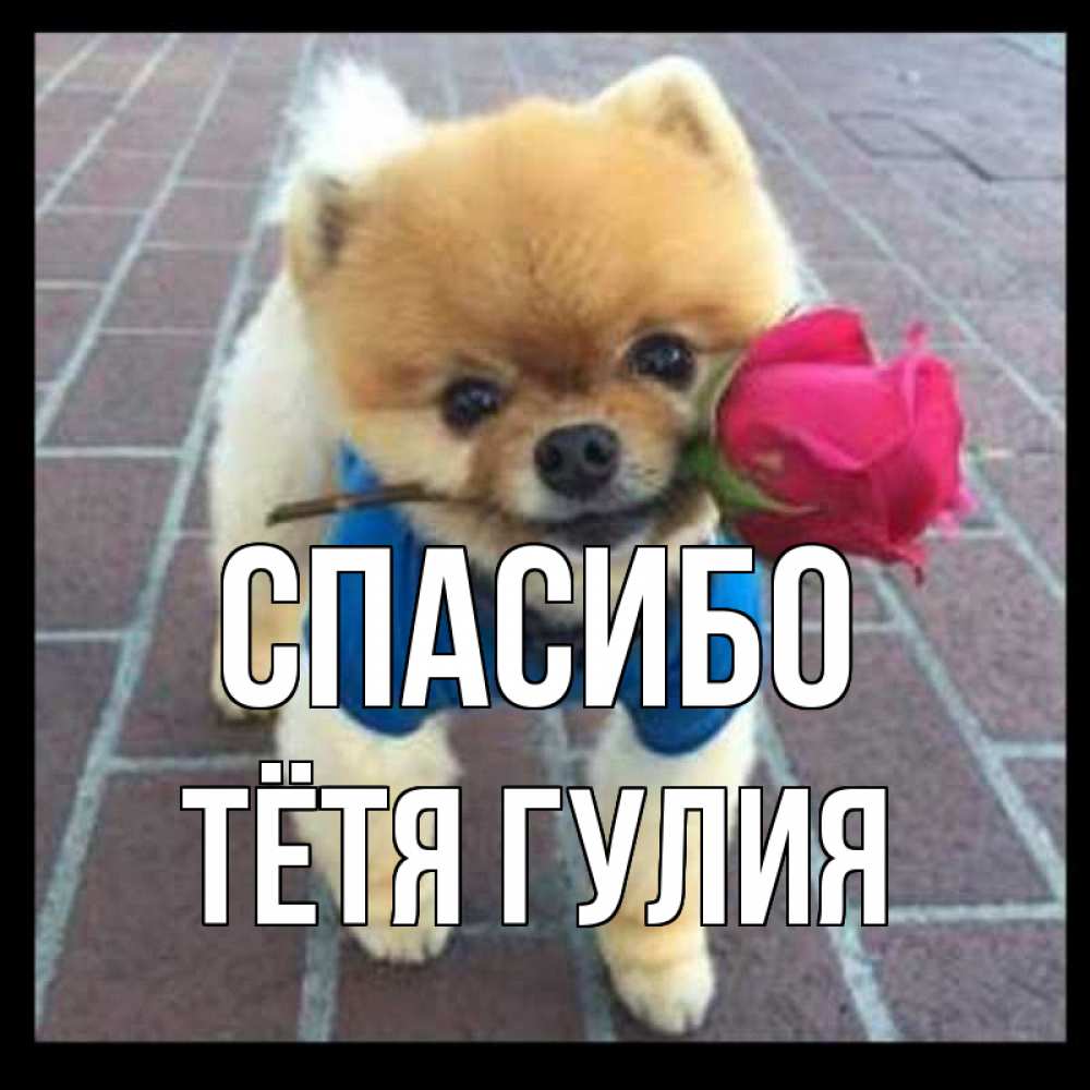 Открытка на каждый день с именем, Тётя-Гулия Спасибо спасибо и дарю тебе цветок Прикольная открытка с пожеланием онлайн скачать бесплатно 