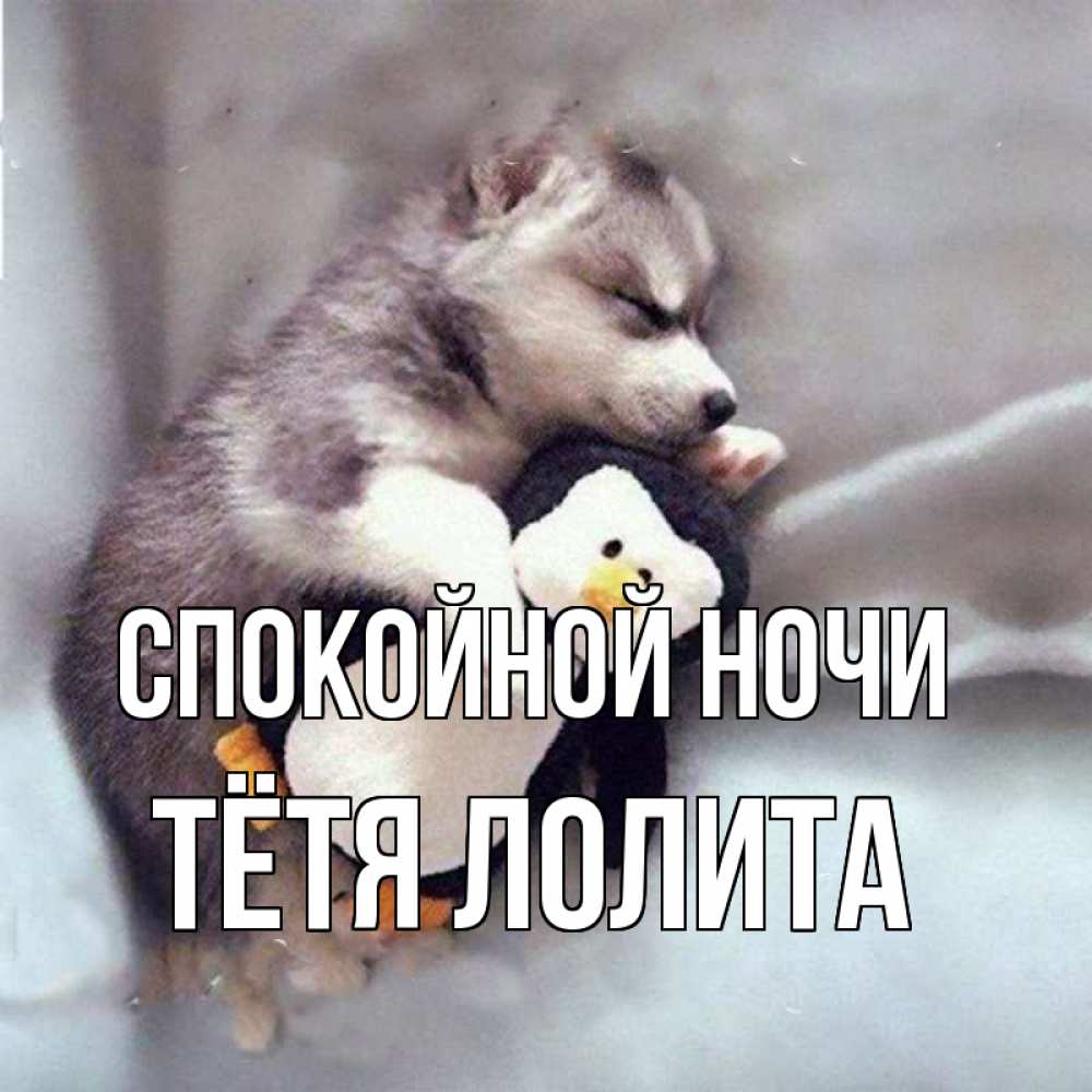 Открытка на каждый день с именем, Тётя-Лолита Спокойной ночи обнимашки щенка и пингвина Прикольная открытка с пожеланием онлайн скачать бесплатно 
