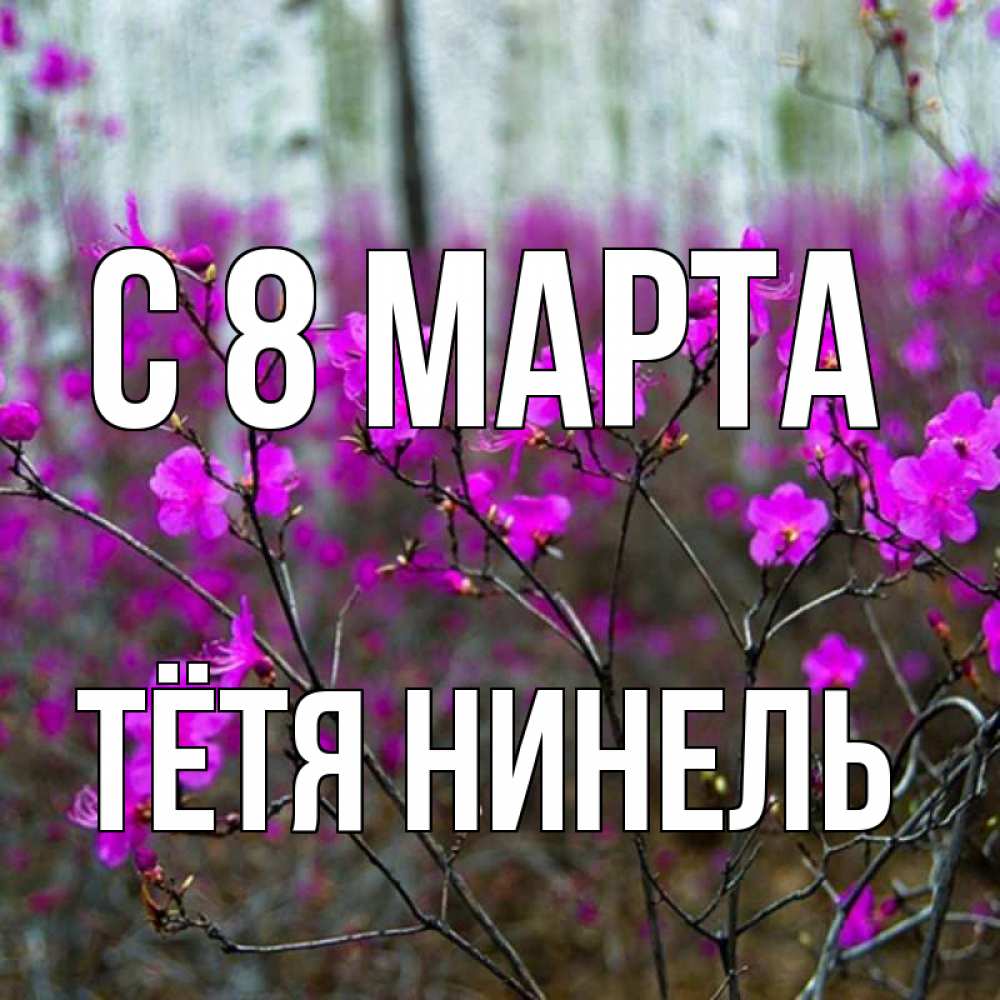 Открытка на каждый день с именем, Тётя-Нинель С 8 марта дикие цветы Прикольная открытка с пожеланием онлайн скачать бесплатно 