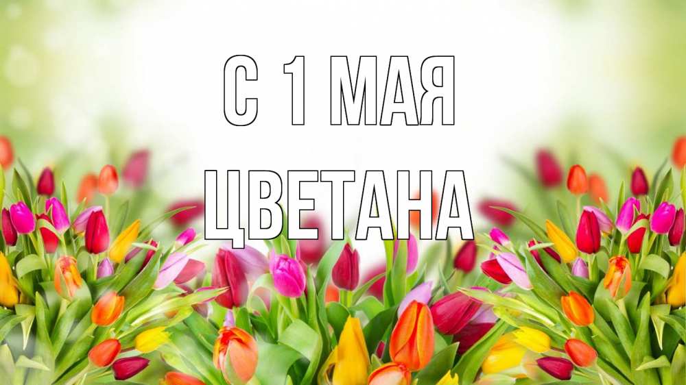 Открытка на каждый день с именем, Цветана С 1 мая С 1 мая Прикольная открытка с пожеланием онлайн скачать бесплатно 