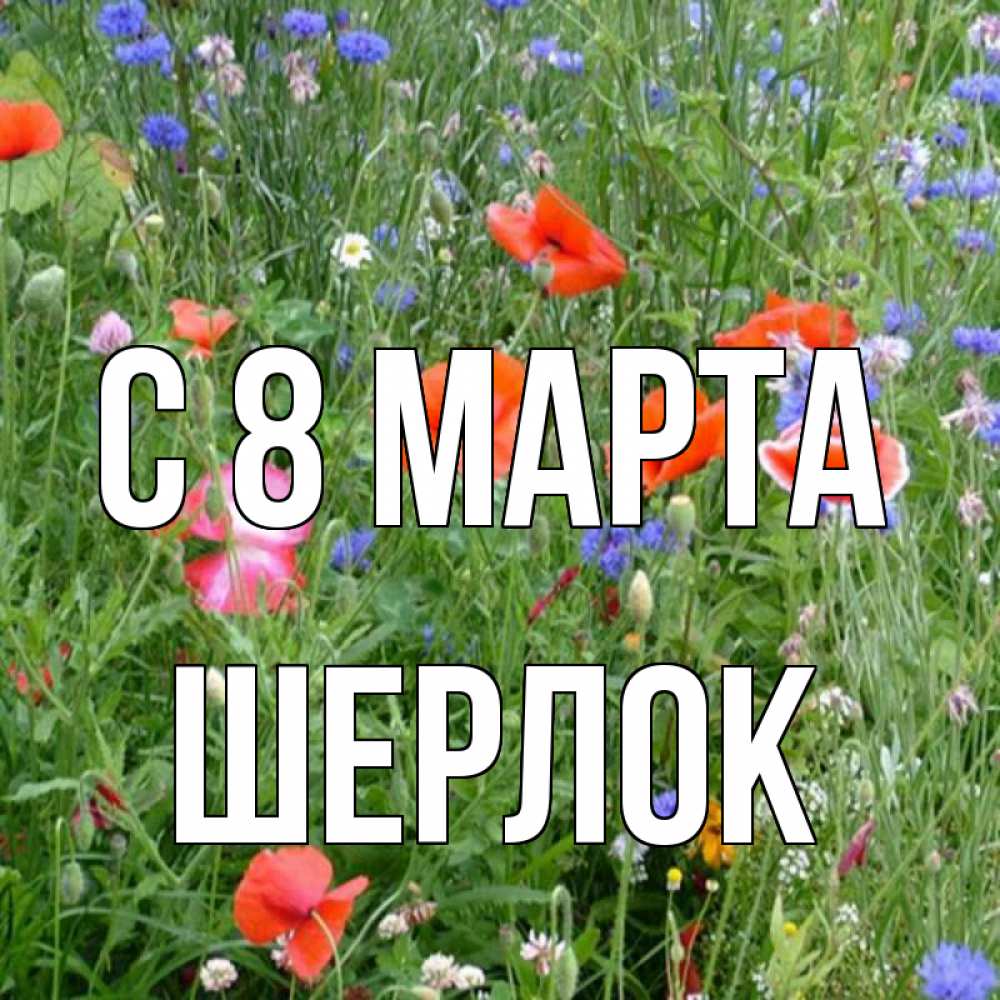 Открытка на каждый день с именем, Шерлок С 8 МАРТА международный женский день 4 Прикольная открытка с пожеланием онлайн скачать бесплатно 