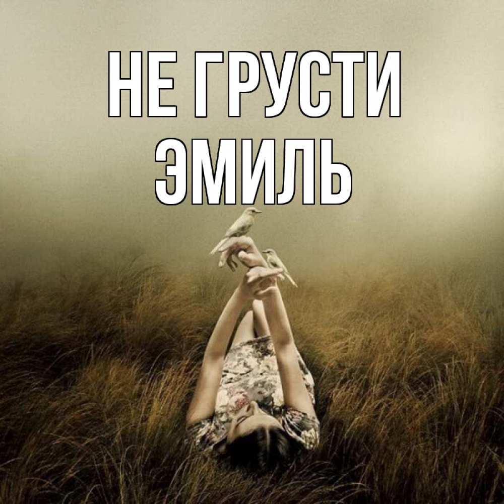 Открытка на каждый день с именем, Эмиль Не грусти поле и туман Прикольная открытка с пожеланием онлайн скачать бесплатно 