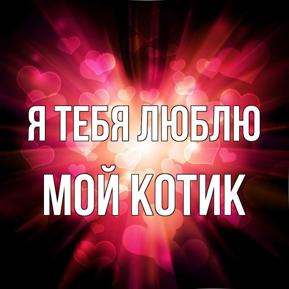 Открытка на каждый день с именем, мой-Котик Я тебя люблю рамочка 1 Прикольная открытка с пожеланием онлайн скачать бесплатно 