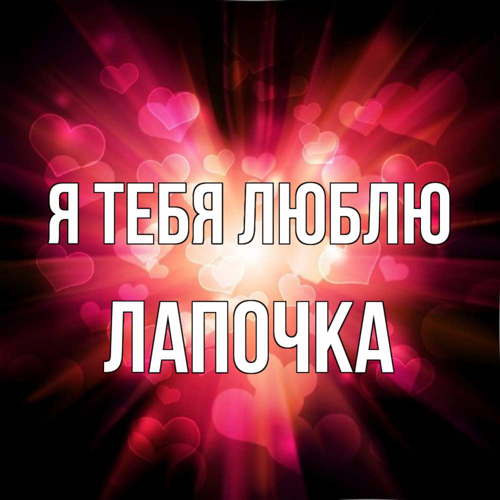Лапочка моя любимая картинки