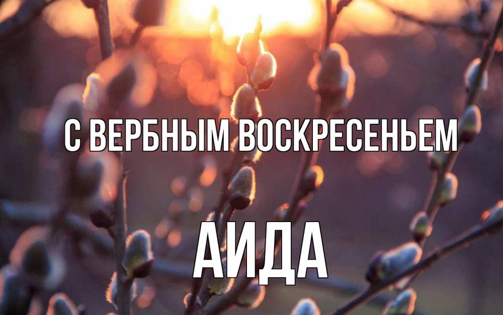 Открытка на каждый день с именем, Аида С вербным воскресеньем верба Прикольная открытка с пожеланием онлайн скачать бесплатно 
