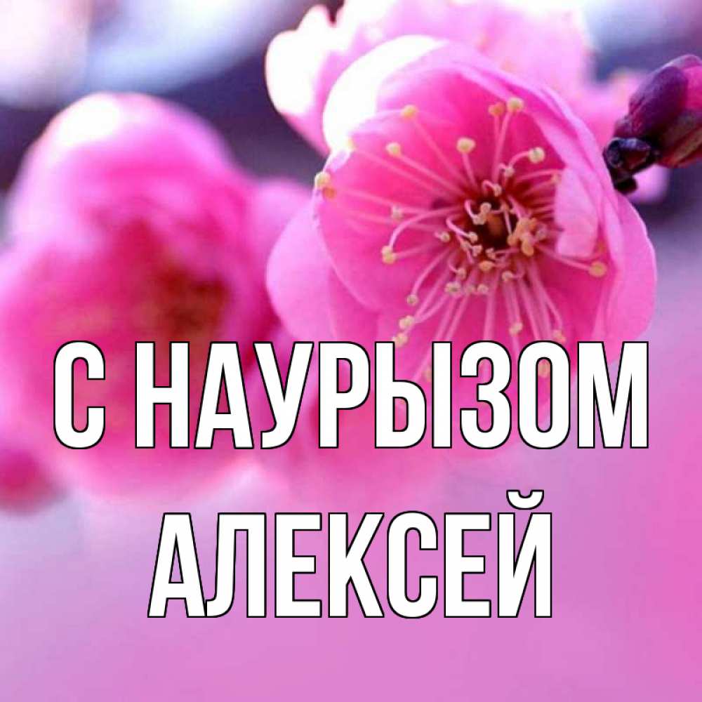 Открытка на каждый день с именем, Алексей С наурызом международный женский день Прикольная открытка с пожеланием онлайн скачать бесплатно 