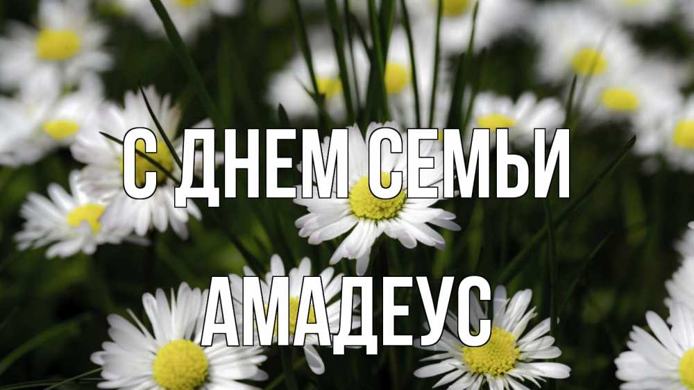Открытка на каждый день с именем, Амадеус С днем семьи с днем семьи  2 Прикольная открытка с пожеланием онлайн скачать бесплатно 