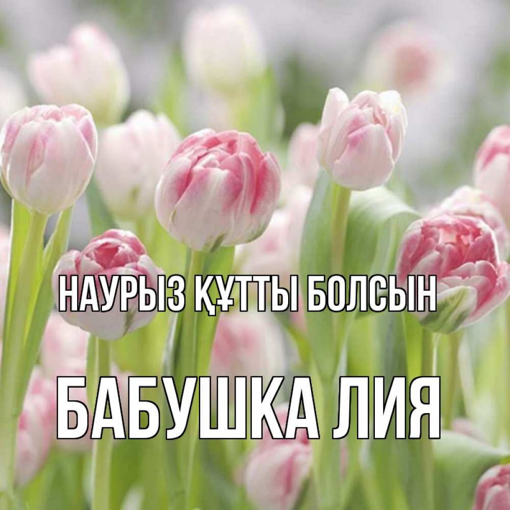Открытка на каждый день с именем, Бабушка-Лия Наурыз құтты болсын цветы Прикольная открытка с пожеланием онлайн скачать бесплатно 