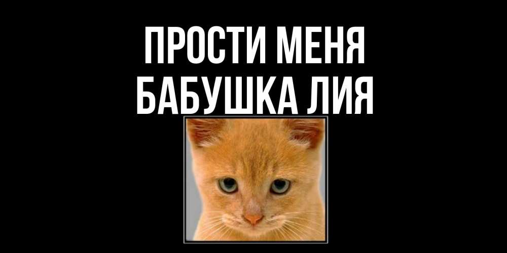 Открытка на каждый день с именем, Бабушка-Лия Прости меня рыжий грустный кот просит прощения Прикольная открытка с пожеланием онлайн скачать бесплатно 