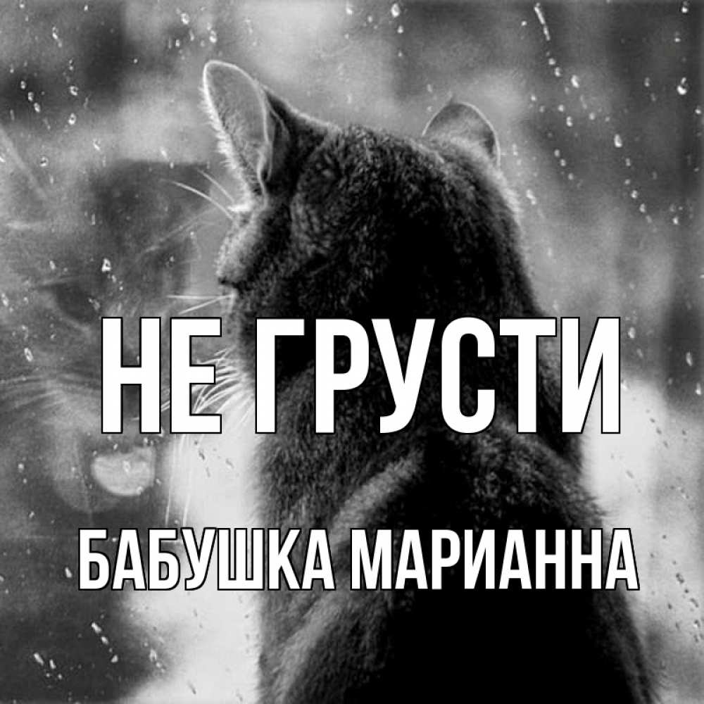 Открытка на каждый день с именем, Бабушка-Марианна Не грусти отражение кота 1 Прикольная открытка с пожеланием онлайн скачать бесплатно 