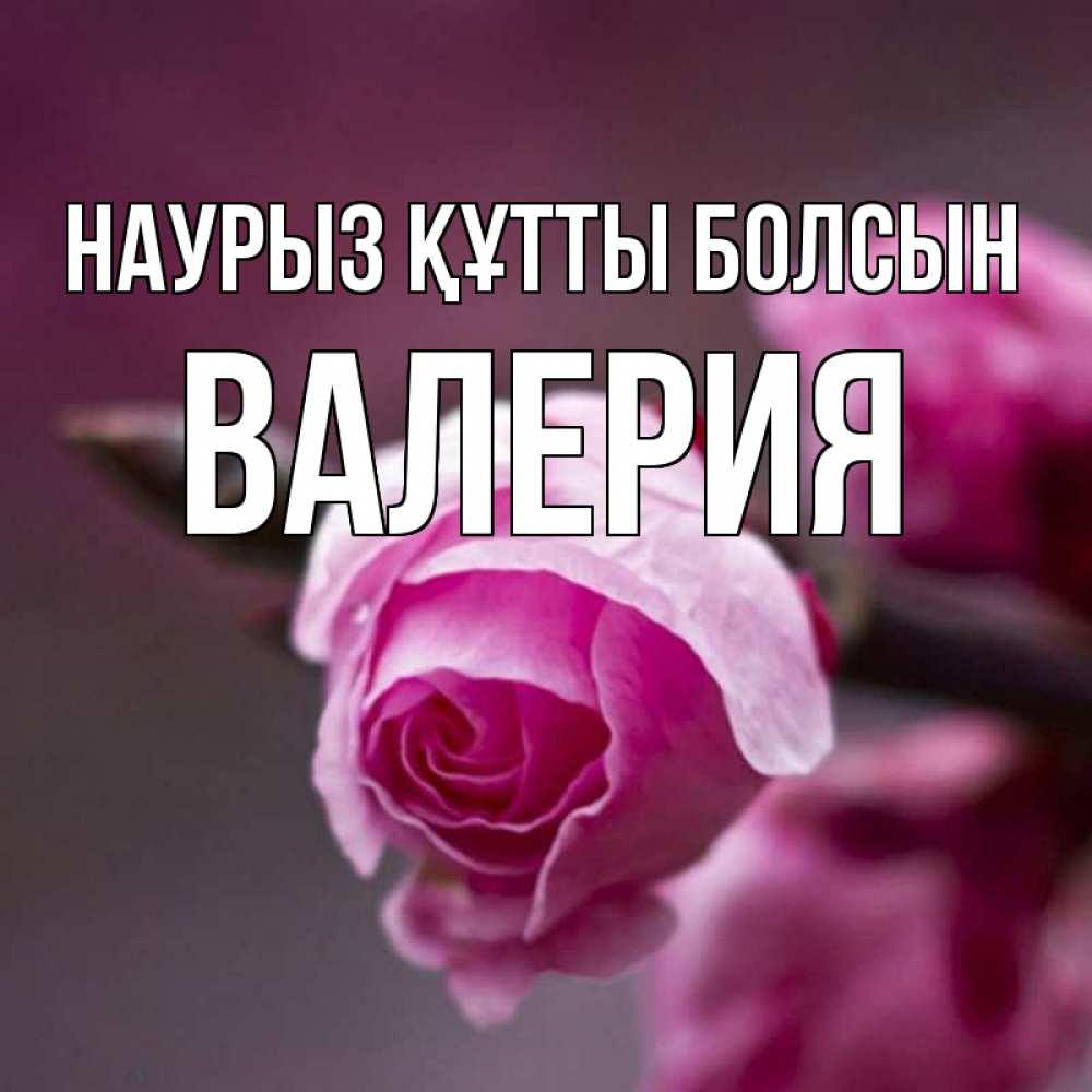 Открытка на каждый день с именем, Валерия Наурыз құтты болсын весна Прикольная открытка с пожеланием онлайн скачать бесплатно 