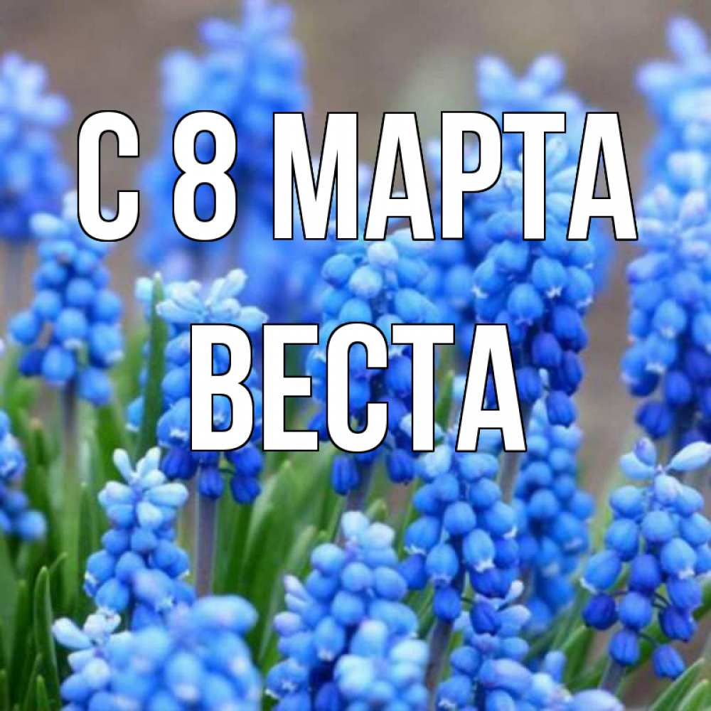 Открытка на каждый день с именем, Веста С 8 МАРТА Поздравительная открытка для женщин с цветами на праздничную дату Прикольная открытка с пожеланием онлайн скачать бесплатно 