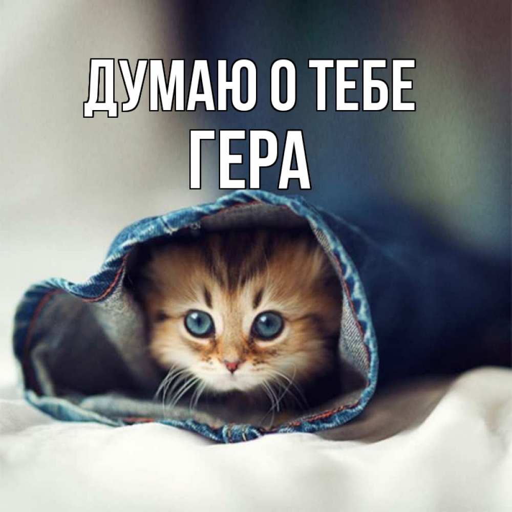 Открытка на каждый день с именем, Гера Думаю о тебе мне без тебя плохо Прикольная открытка с пожеланием онлайн скачать бесплатно 