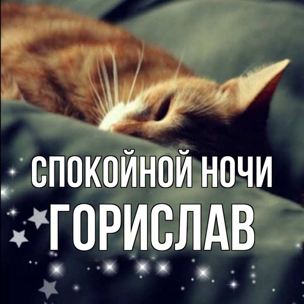 Открытка на каждый день с именем, Горислав Спокойной ночи кроватка Прикольная открытка с пожеланием онлайн скачать бесплатно 