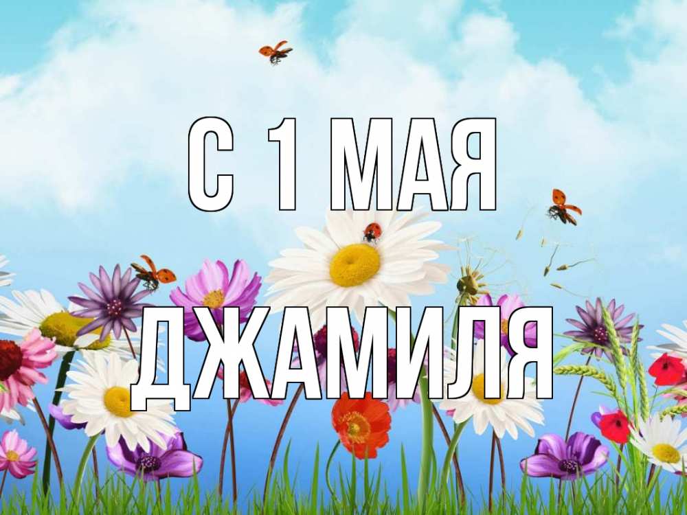 Открытка на каждый день с именем, Джамиля С 1 мая С 1 мая Прикольная открытка с пожеланием онлайн скачать бесплатно 