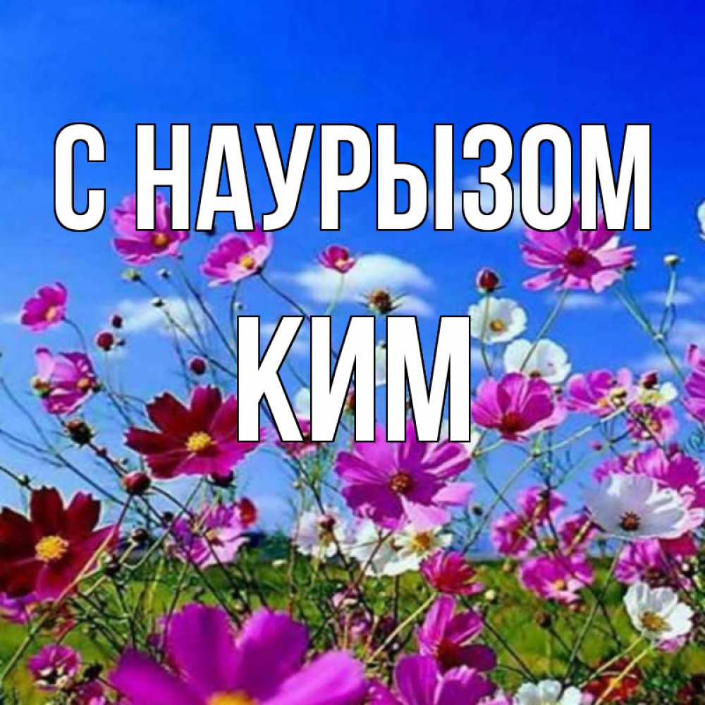 Открытка на каждый день с именем, Ким С наурызом цветы Прикольная открытка с пожеланием онлайн скачать бесплатно 