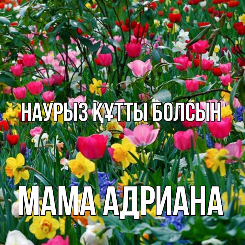 Открытка на каждый день с именем, Мама-Адриана Наурыз құтты болсын с наурызом поздравления для женщины Прикольная открытка с пожеланием онлайн скачать бесплатно 