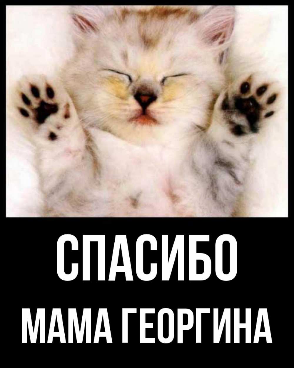 Открытка на каждый день с именем, Мама-Георгина Спасибо маленький котенок Прикольная открытка с пожеланием онлайн скачать бесплатно 