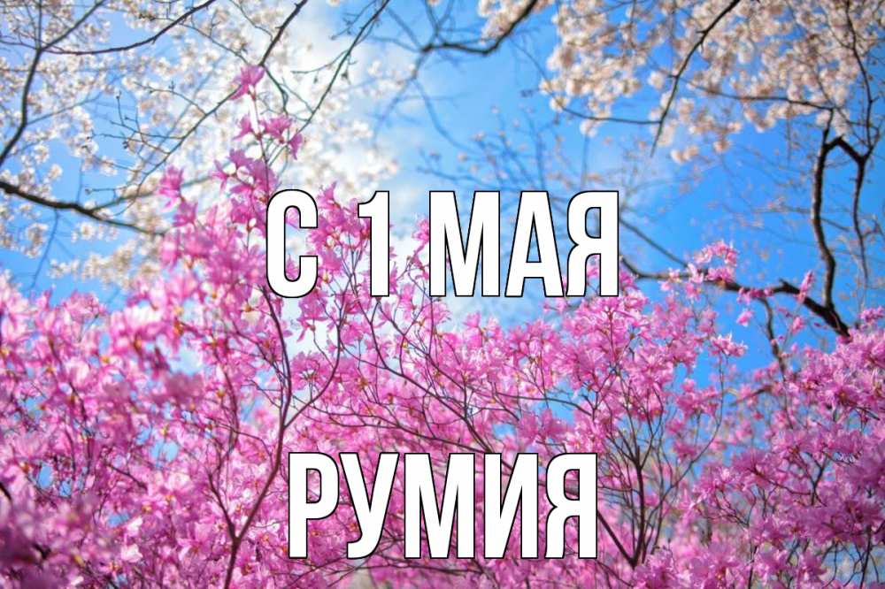Открытка на каждый день с именем, Румия С 1 мая С 1 мая Прикольная открытка с пожеланием онлайн скачать бесплатно 