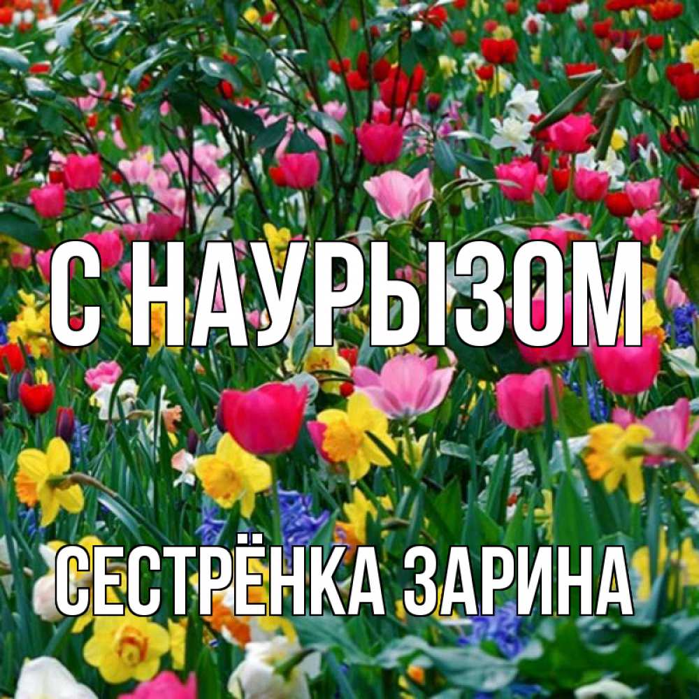 Открытка на каждый день с именем, Сестрёнка-Зарина С наурызом с наурызом праздником весны поздравления для женщины Прикольная открытка с пожеланием онлайн скачать бесплатно 