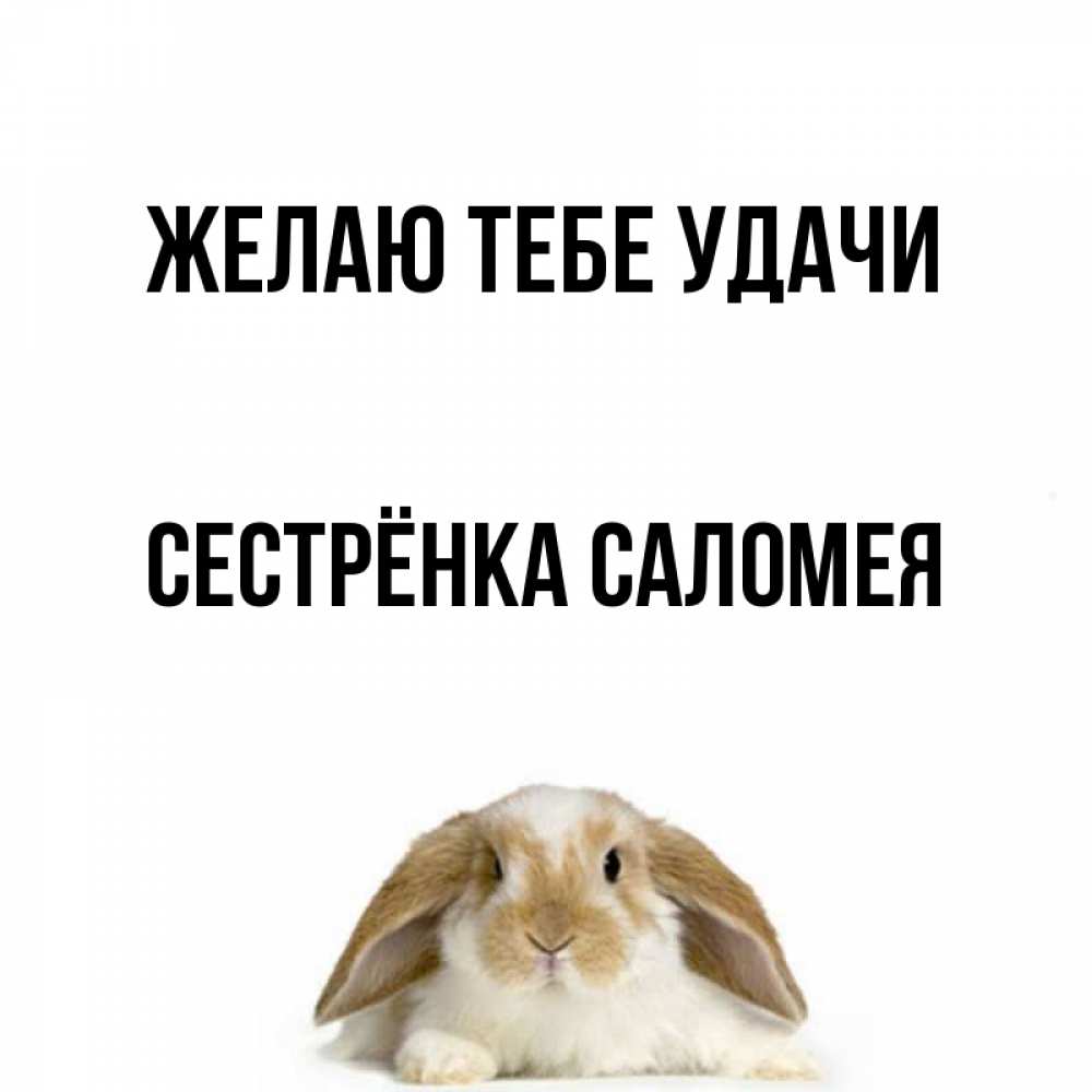 Открытка на каждый день с именем, Сестрёнка-Саломея Желаю тебе удачи открытки с произвольным текстом который можно вставить в открытку и создать ее самостоятельно бесплатно онлайн Прикольная открытка с пожеланием онлайн скачать бесплатно 