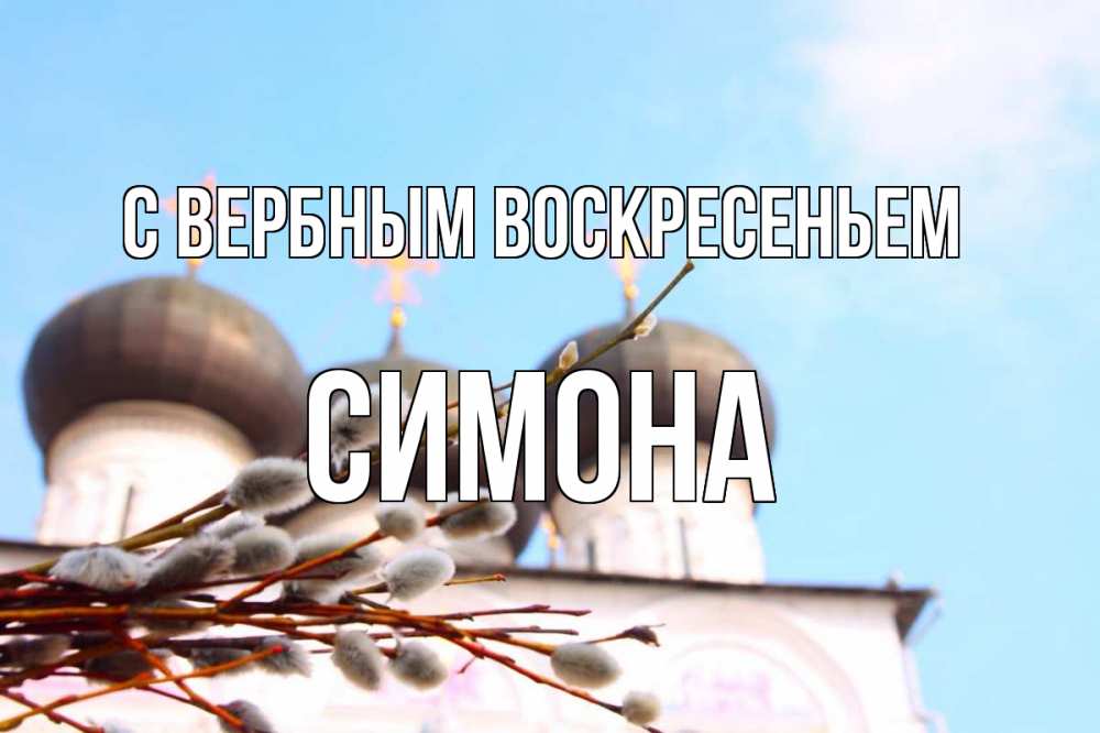 Открытка на каждый день с именем, Симона С вербным воскресеньем верба Прикольная открытка с пожеланием онлайн скачать бесплатно 