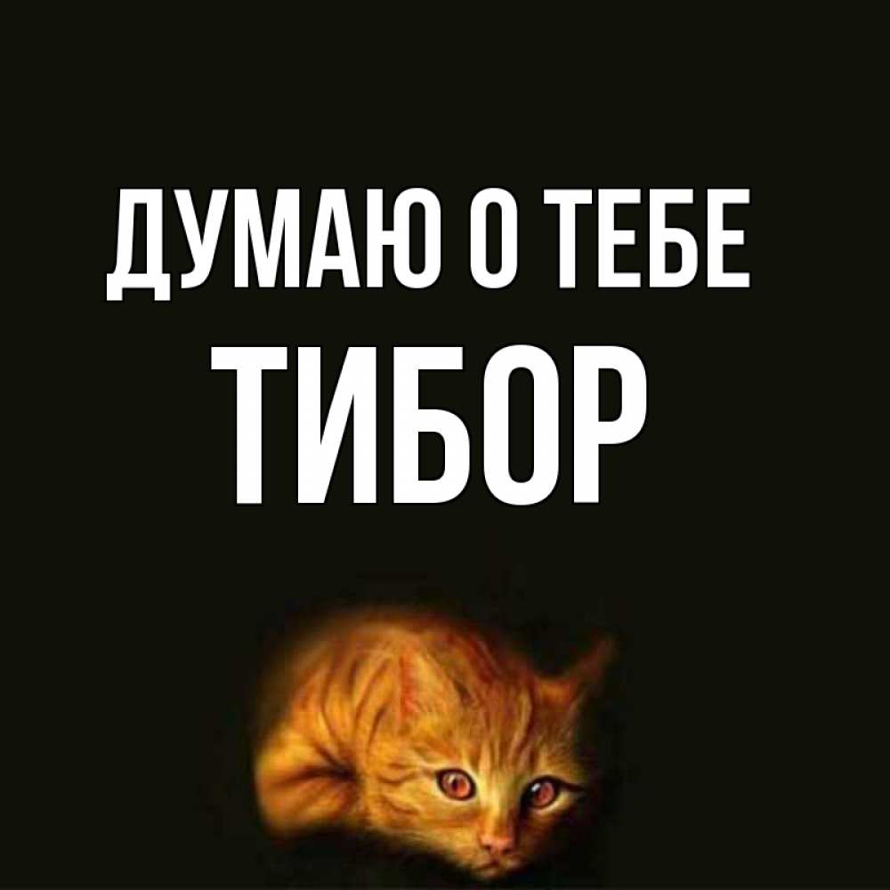 Открытка на каждый день с именем, Тибор Думаю о тебе рыжий Прикольная открытка с пожеланием онлайн скачать бесплатно 