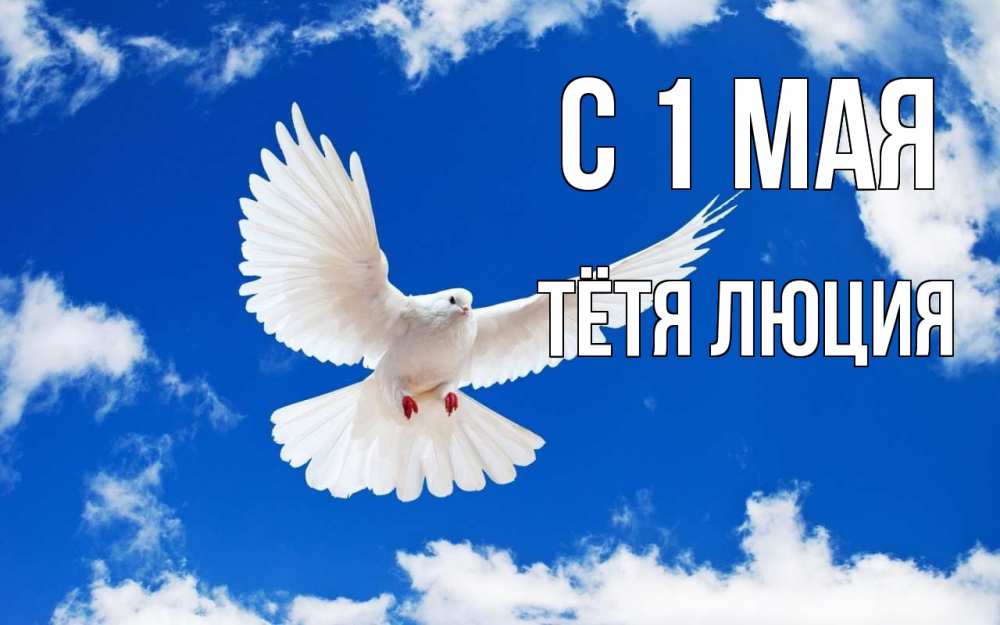 Открытка на каждый день с именем, Тётя-Люция С 1 мая С 1 мая 1 Прикольная открытка с пожеланием онлайн скачать бесплатно 