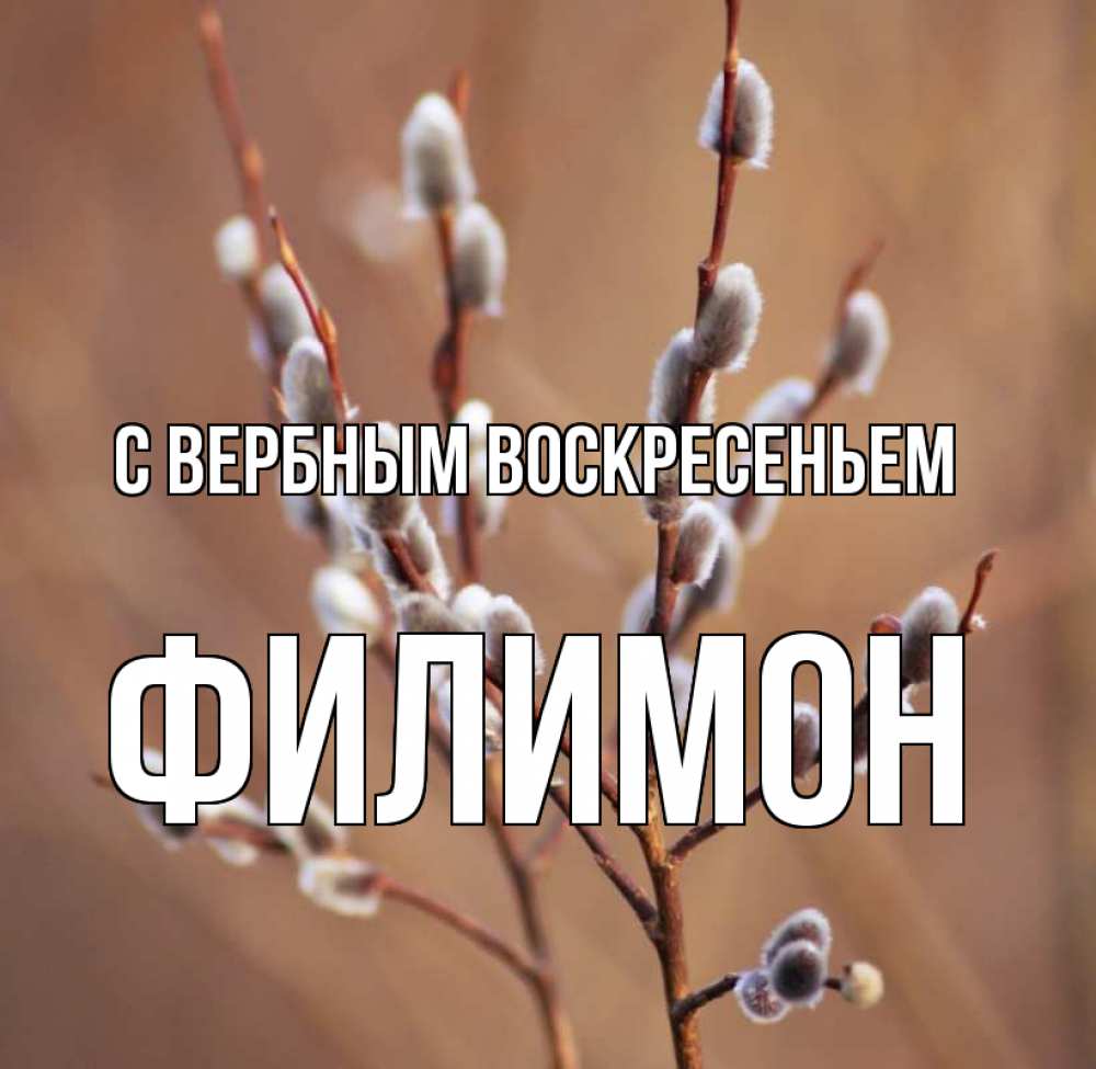 Открытка на каждый день с именем, Филимон С вербным воскресеньем верба Прикольная открытка с пожеланием онлайн скачать бесплатно 