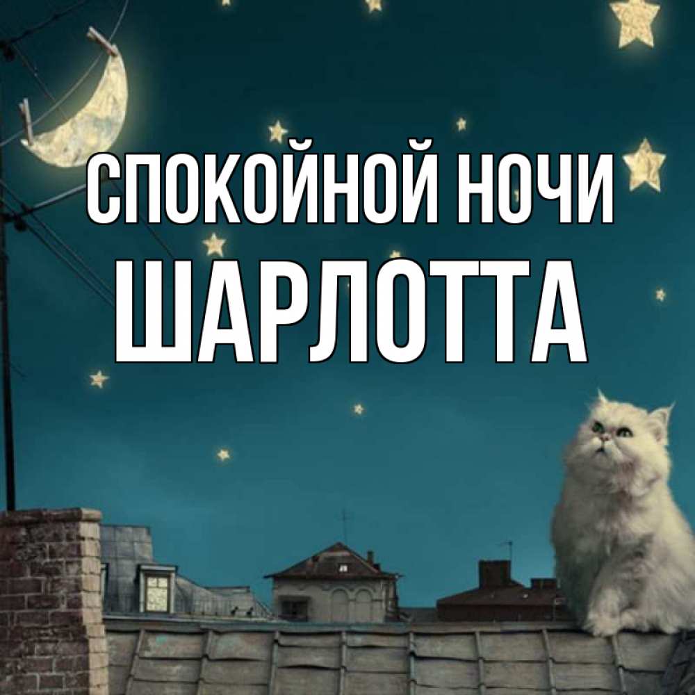 Открытка на каждый день с именем, Шарлотта Спокойной ночи белый кот сидит на крыше Прикольная открытка с пожеланием онлайн скачать бесплатно 