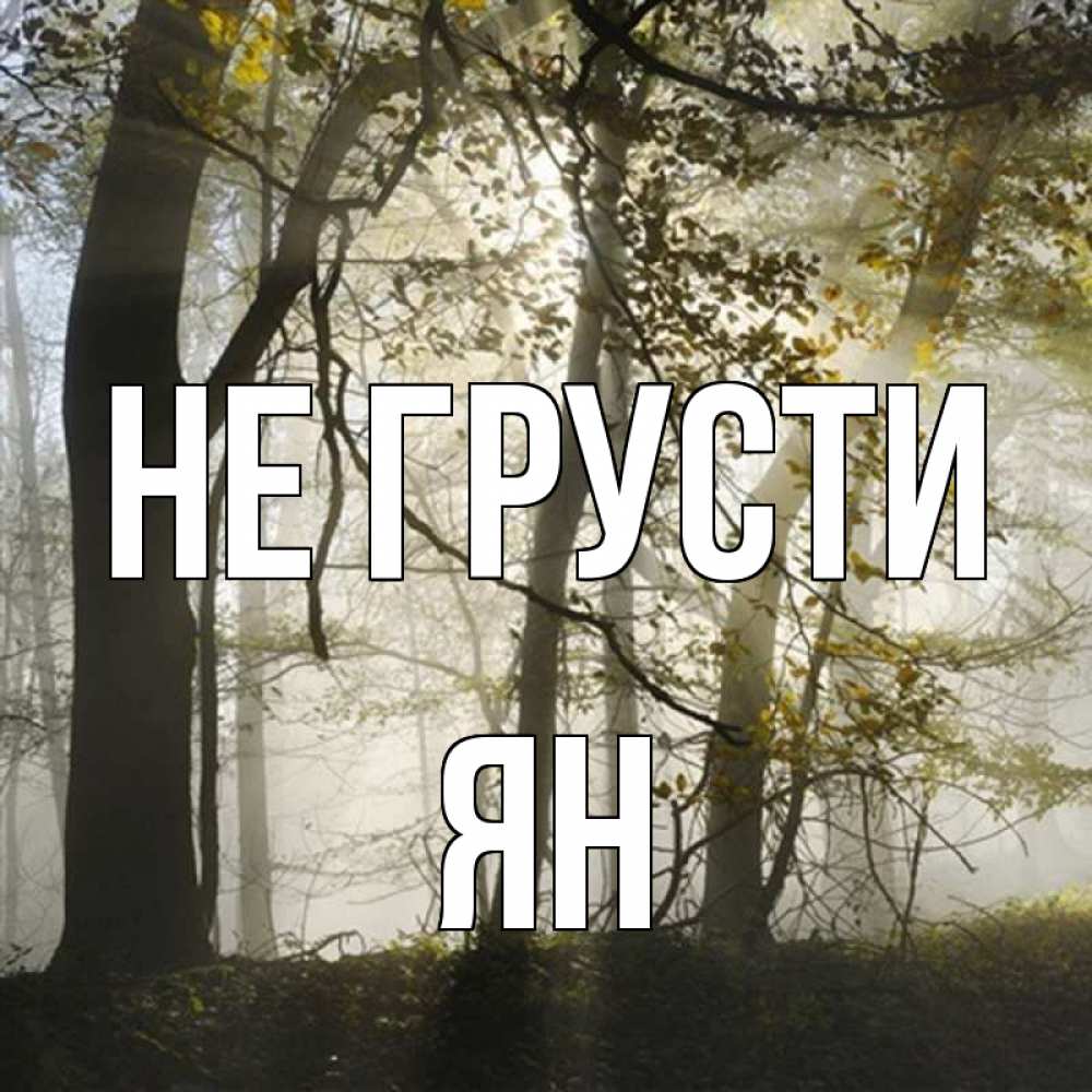 Открытка на каждый день с именем, Ян Не грусти лес и свет Прикольная открытка с пожеланием онлайн скачать бесплатно 