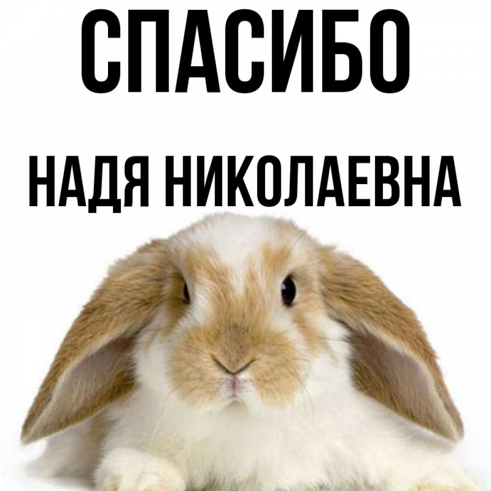 Спасибо надюша картинки красивые