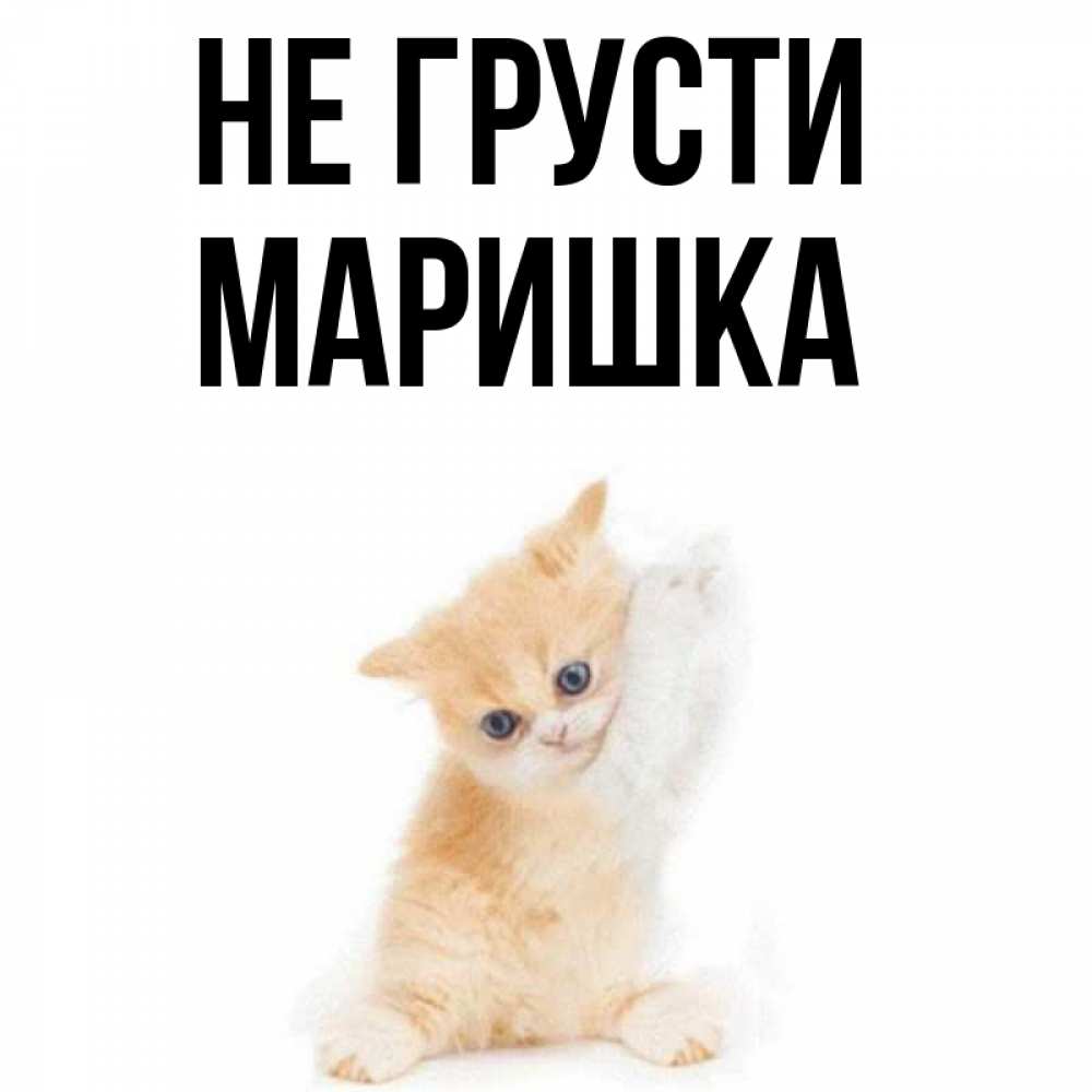 Привет маришка картинки