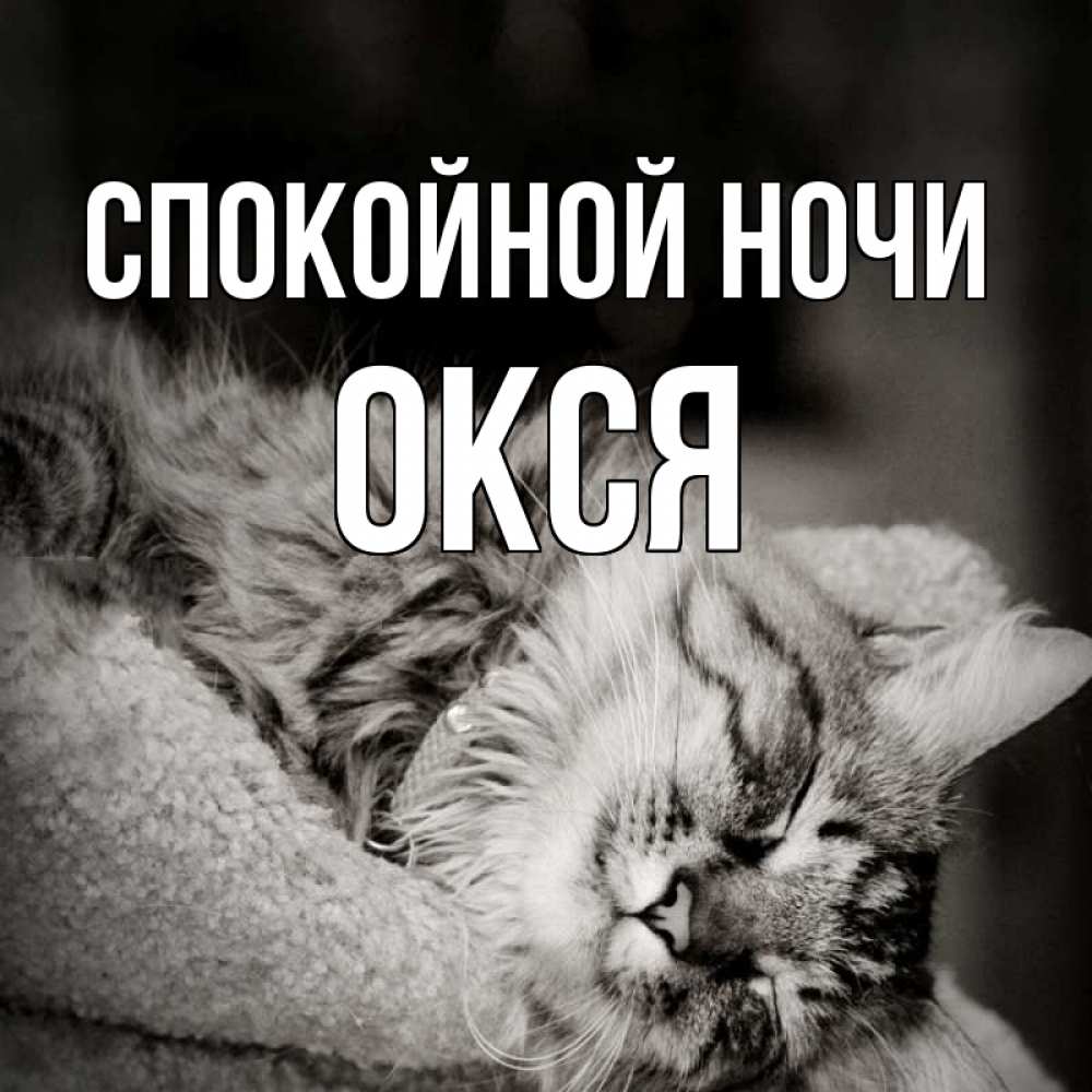Главное ночи. Спокойной ночи котик. Спокойной ночи котик мой. Спокойной ночи мой Солтик. Спокойной ночи любимый котик.