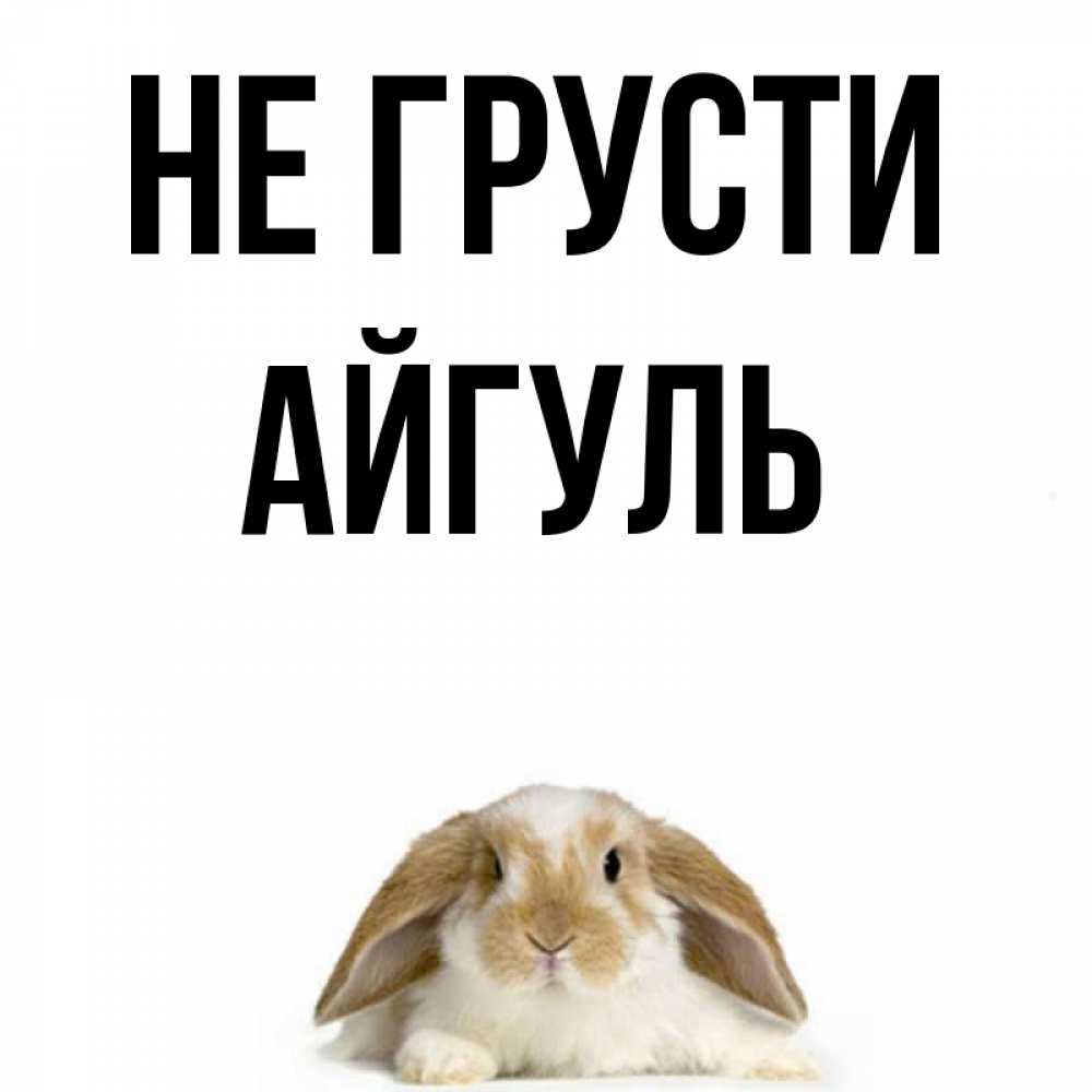 Открытка на каждый день с именем, Айгуль Не грусти коричнево белый заяц с большими ушками Прикольная открытка с пожеланием онлайн скачать бесплатно 