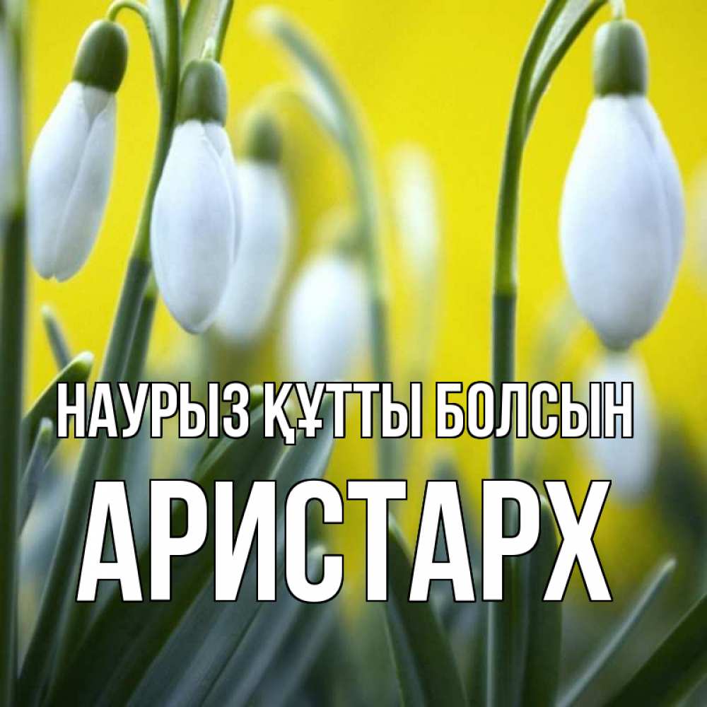 Открытка на каждый день с именем, Аристарх Наурыз құтты болсын весенние цветы Прикольная открытка с пожеланием онлайн скачать бесплатно 